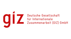 GIZ logo